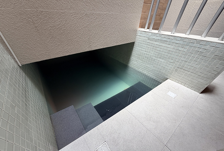 Suite con alberca privada Alberca PRO, Centra2 CDMX